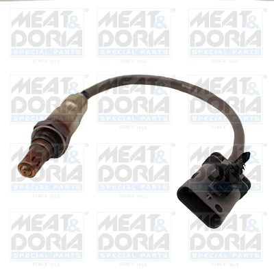 Oxygen Sensor